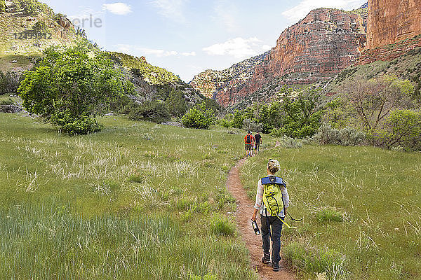 Gruppe von Wanderern Trail Wandern durch Dinosaur National Monument
