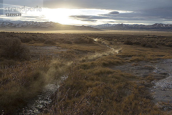 Hotspring dampft die Luft im Hinterland von Nevada.