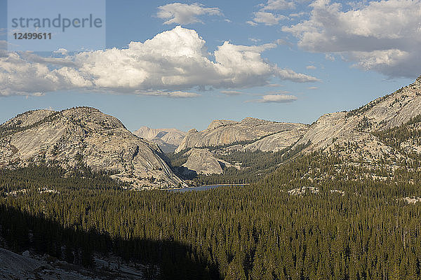 Blick auf die unberührte Landschaft in Tolumne Meadows. Yosemite National Park  CA  USA.