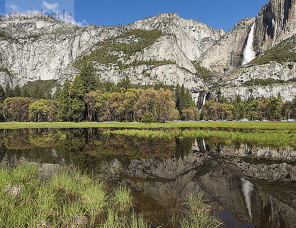 Yosemite Falls reflektiert im Wasser in Cooks Meadow