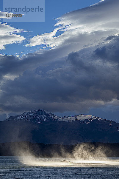 Windgepeitschte Wasserwände auf der Oberfläche des Lago Nordenskj?ld in Chiles berüchtigtem windigen Torres del Paine.