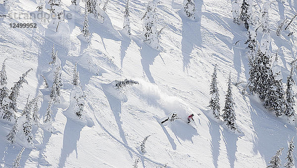 Männlicher Skifahrer macht einen Powder Turn im Whitefish Mountain Resort in Whitefish  Montana  USA