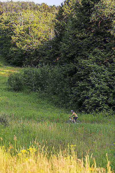 Mann Reiten Mountainbike auf grasbewachsenen Feld in Mount Ascutney  Vermont  USA