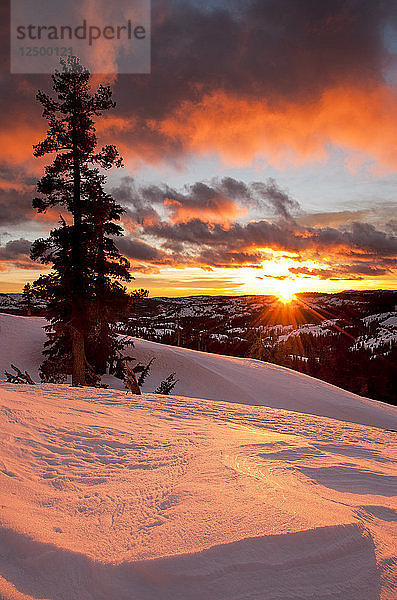 Winterlicher Sonnenuntergang auf dem Kamm der Sierra in der Nähe der Peter Grubb Hütte am Donner Pass
