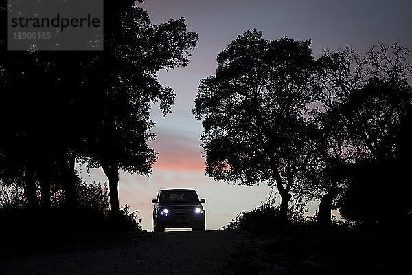 Ein Lastwagen fährt bei Sonnenuntergang auf einem unbefestigten Weg in Prado del Rey  Provinz Cadiz  Andalusien  Spanien