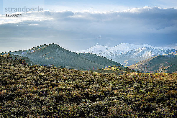 Sturmwolken im Bristlecone Forest  Kalifornien  USA