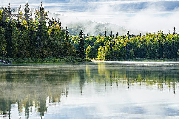 Morgennebel am Z-See in der Nähe von Talkeetna  Alaska  USA