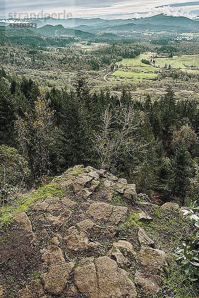 Ein Blick auf die Thurston Hills Natural Area in Springfield Oregon