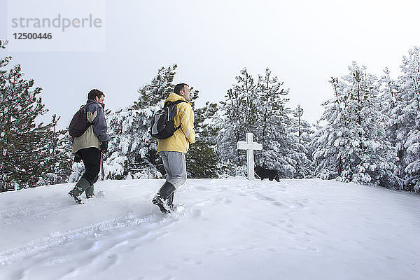 Zwei Wanderer auf dem Gipfel des Berges Golo Brdo (Nackter Berg). Sie gehen durch den nassen Schnee und erreichen das Marmorkreuz  das sich auf dem Gipfel befindet. Am Kreuz ist bereits ihr Hund Jackson (Rasse pulin - ungarischer Schäferhund) angekommen. Gedreht im Südwesten Serbiens in der Nähe des Ortes Studencia.