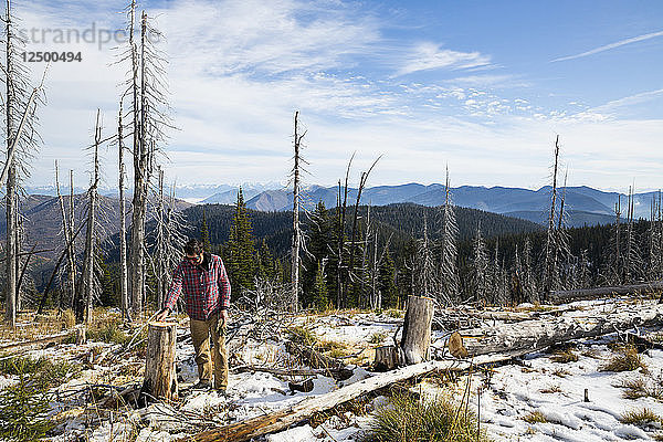 Mann fällte einen toten Baum mit der Kettensäge beim Camping in Montana