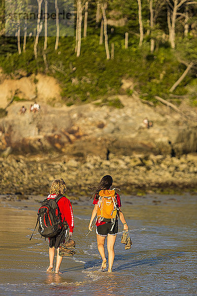 Junge und Mädchen wandern am Sandstrand im Acadia National Park