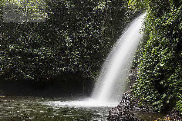 Ein Wasserfall in einem Regenwald auf Bali  Indonesien.