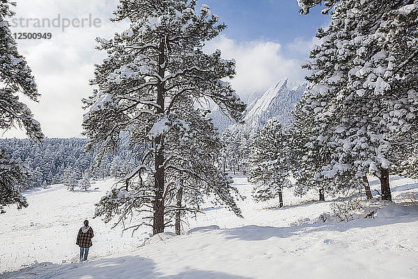 Amanda Martinez wandert durch den Schnee zu den Flatirons im Chautauqua Park  Boulder  Colorado.