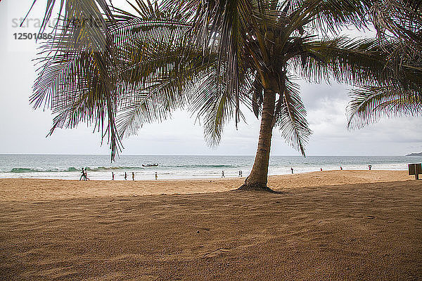 Palme am Strand mit Menschen und einem Boot im Ozean dahinter in Ghana  Afrika