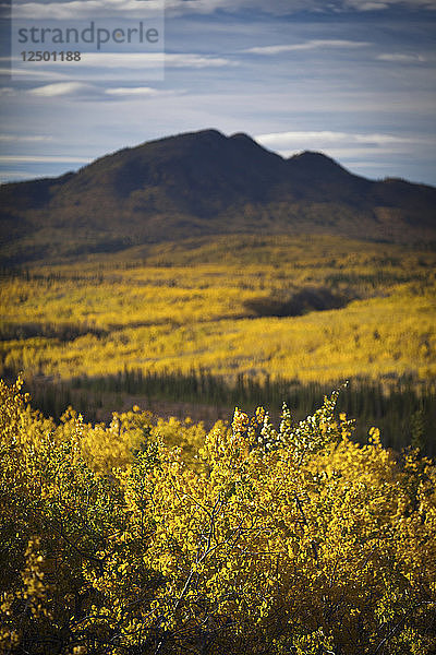 Klondike Highway im Herbst in Yukon  Kanada