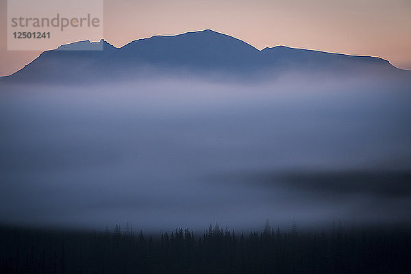 Lipalian Mountain bei Nebel in Alberta  Kanada