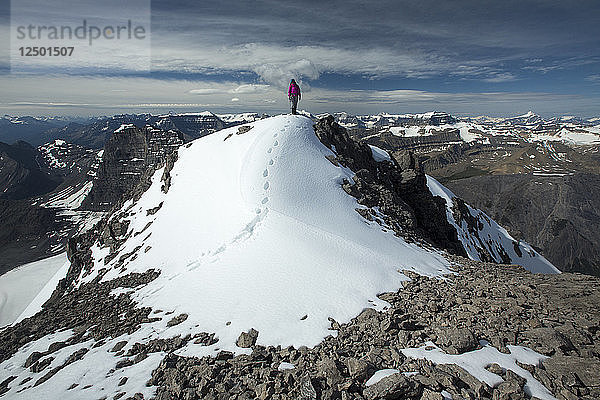Person Wandern auf dem Gipfel des Cirrus Mountain in Alberta  Kanada