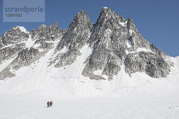 Bergsteiger gehen zu einer Klettertour auf dem Pika-Gletscher in der Kleinen Schweiz im Denali-Nationalpark.