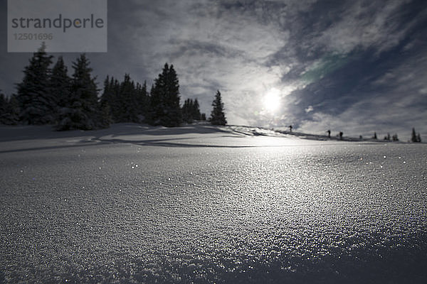 Winterlandschaften in Tirol  Österreich
