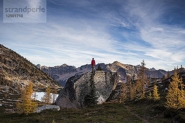 Ein Kletterer steht auf einem Felsen zwischen den bunten Lärchen und den steilen Bergen der Cascades in der Pasayten Wilderness in Washington.
