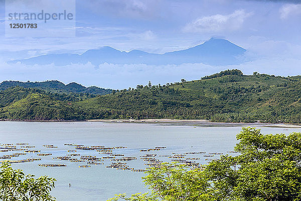 Landschaft mit Hügeln  Meer und dem Vulkan Rinjani im Hintergrund