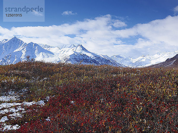 Gates Of The Arctic National Park in Alaska  USA
