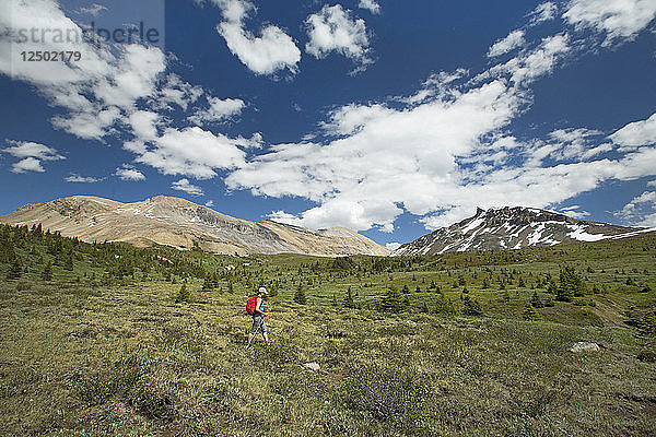 Wanderer Wandern auf grasbewachsenen Landschaft in der Nähe von Mosquito Mountain