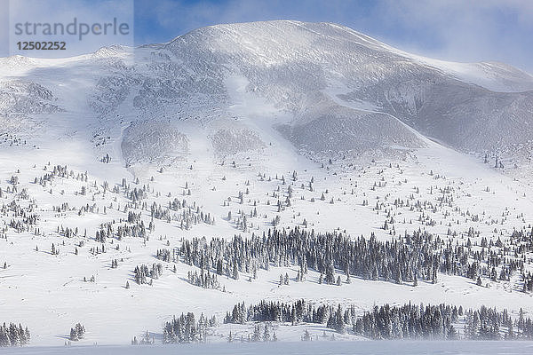 Schnee und starker Wind über Boreas Pass und Boreas Mountain  White River National Forest  Colorado.