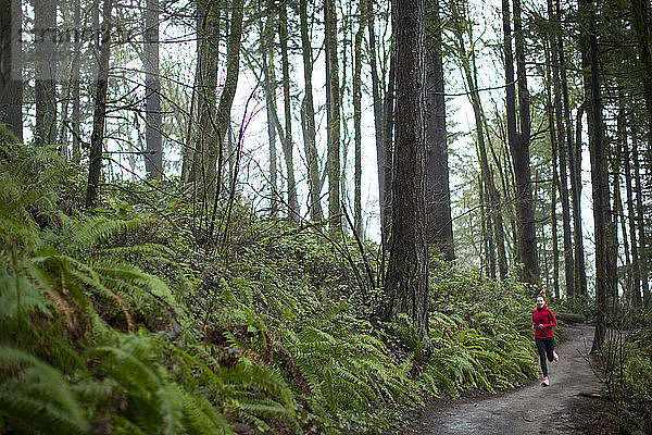 Eine Frau läuft auf dem Pfad im Forest Park in Portland  Oregon  USA