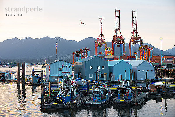 Schlepper liegen am 4. Juni 2014 in der Nähe des Hafens von Vancouver im Hafen von Vancouver  Kanada  vor Anker.