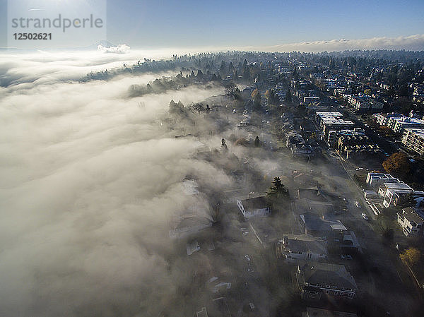 Kriechender Nebel hüllt Seattle ein