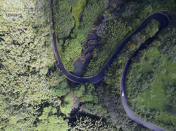 Eine Serpentinenstraße führt auf Hawaii den Berg hinauf