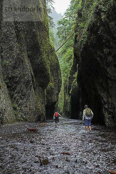 Ein Mann und eine Frau machen sich auf den Weg in die sich verengende smaragdgrüne Oneonta-Schlucht außerhalb von Portland  Oregon.