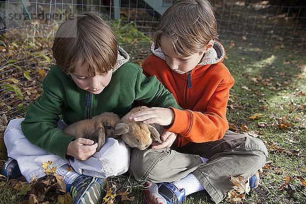 Acht und zehn Jahre alte Brüder halten ihre neuen  sechs Wochen alten Holland-Lop-Kaninchen in Marblehead  Massachusetts.