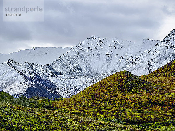 Schneebedeckter Berg im Denali-Nationalpark  Alaska