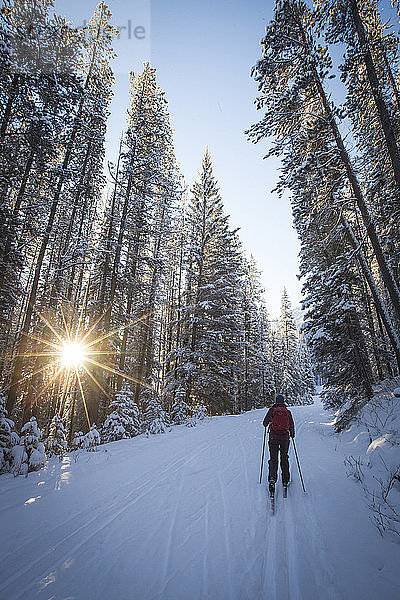 Person Skifahren auf verschneiter Landschaft im Banff National Park