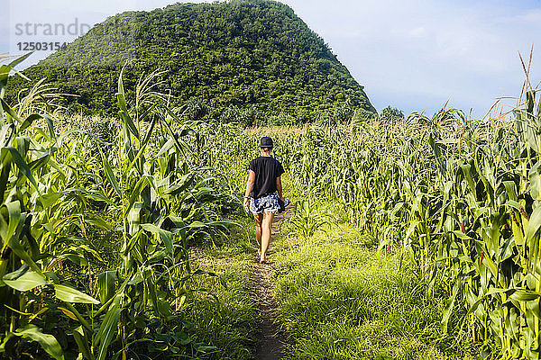 Junge Frau geht auf einem Fußweg durch ein Maisfeld
