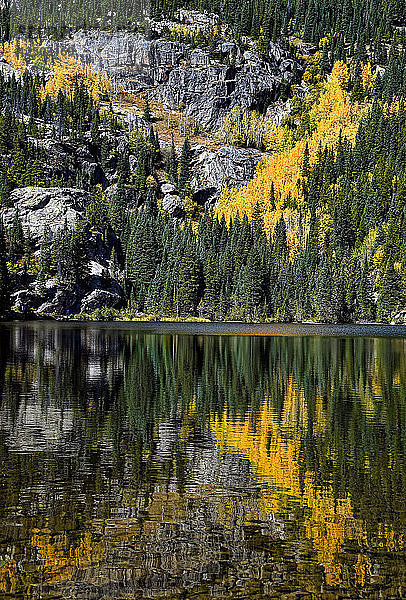 Herbstfarben am Bear Lake im Rocky Mountain National Park in Estes Park  Colorado.