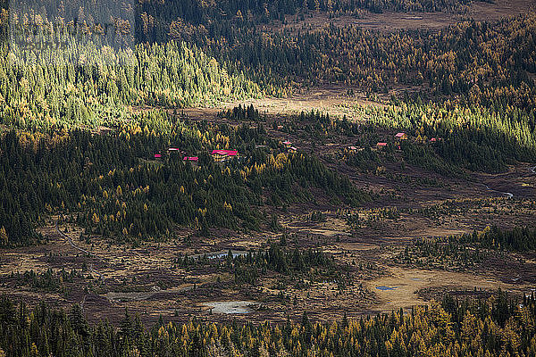 Goldene Lärchen und eine Lodge in einem Tal des Mount Assiniboine Provincial Park