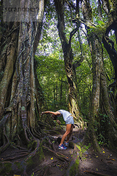 Fitness Frau unter altem Baum