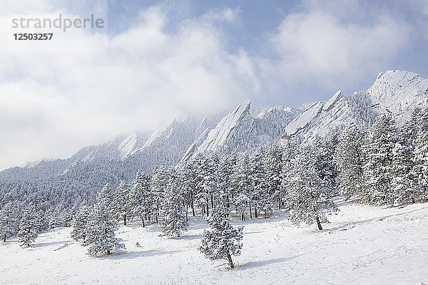 Die Flatirons im Schnee  Chautauqua Park  Boulder  Colorado.