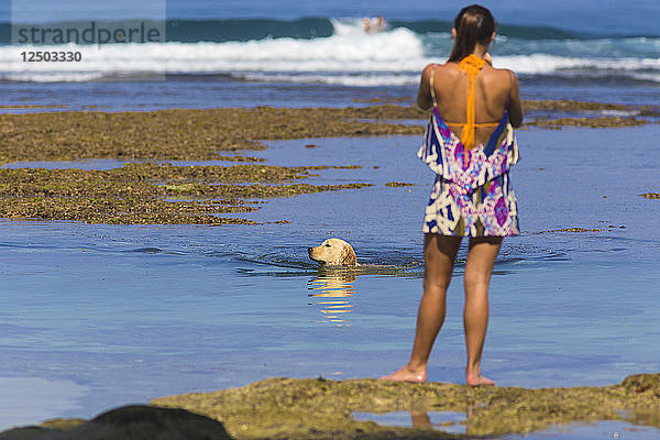 Frau steht am Strand  während der Hund schwimmt.Insel Bali.Indonesien.