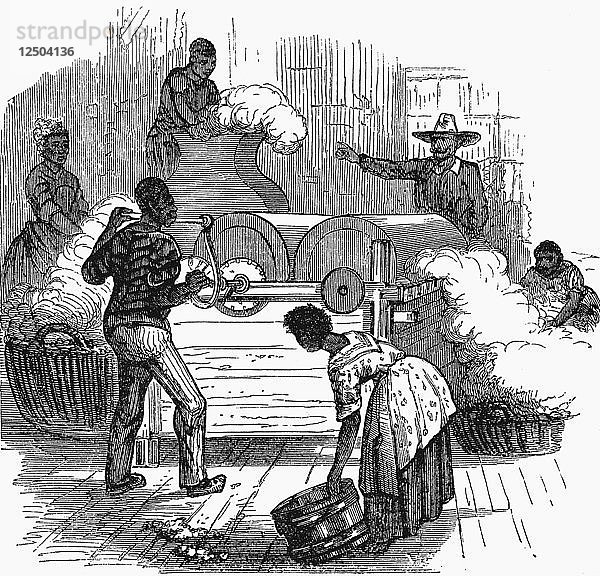Sklavenarbeit auf einer Baumwollplantage in den Südstaaten von Amerika  1860. Künstler: Unbekannt