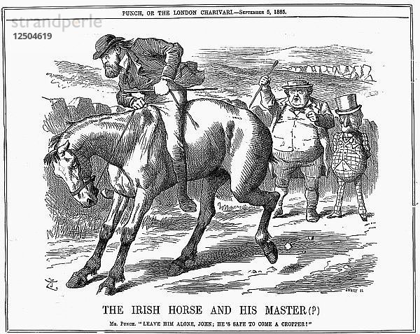 Das irische Pferd und der Meister (?)  1885. Künstler: John Tenniel
