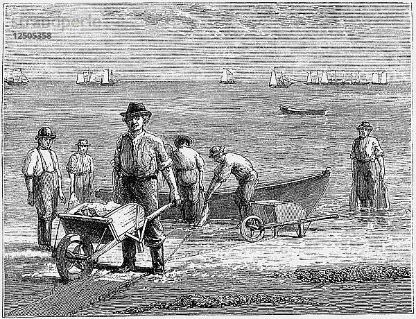 Cape-Cod-Fischer beim Fischwaschen  1875. Künstler: Unbekannt