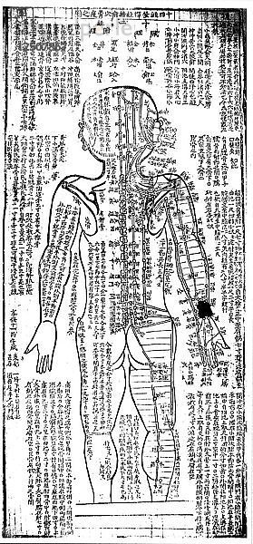 Akupunkturkarte für den hinteren Teil des Körpers  japanisch  19. Künstler: Unbekannt