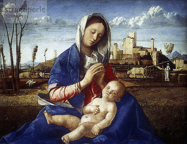 Die Madonna auf der Wiese  um 1500. Künstler: Giovanni Bellini