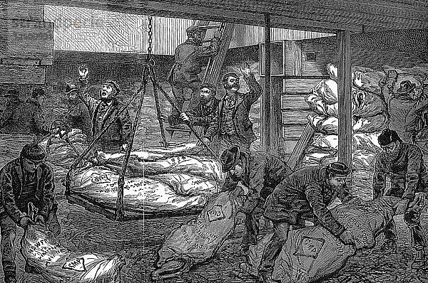 Entladung von Gefrierfleisch aus Australien  South West India Dock  Millwall  London  1881. Künstler: Unbekannt