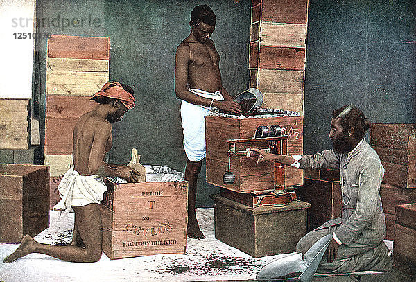 Verpacken und Wiegen von Tee für den Export auf einer Plantage in Ceylon (Sri Lanka)  1905. Künstler: Unbekannt