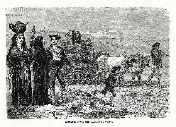 Bauern aus dem Tal von Ossun  Frankreich  1879. Künstler: Unbekannt